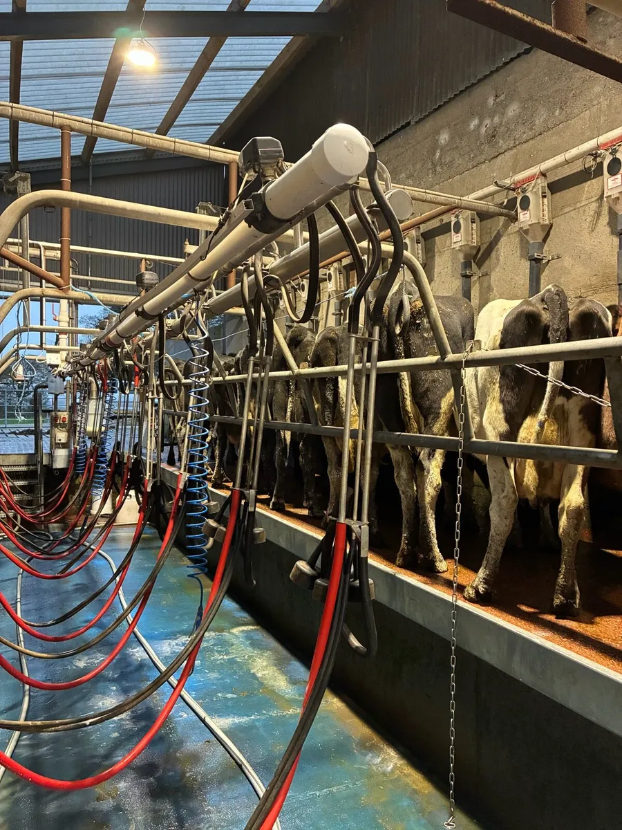 Milking parlour - Image 4