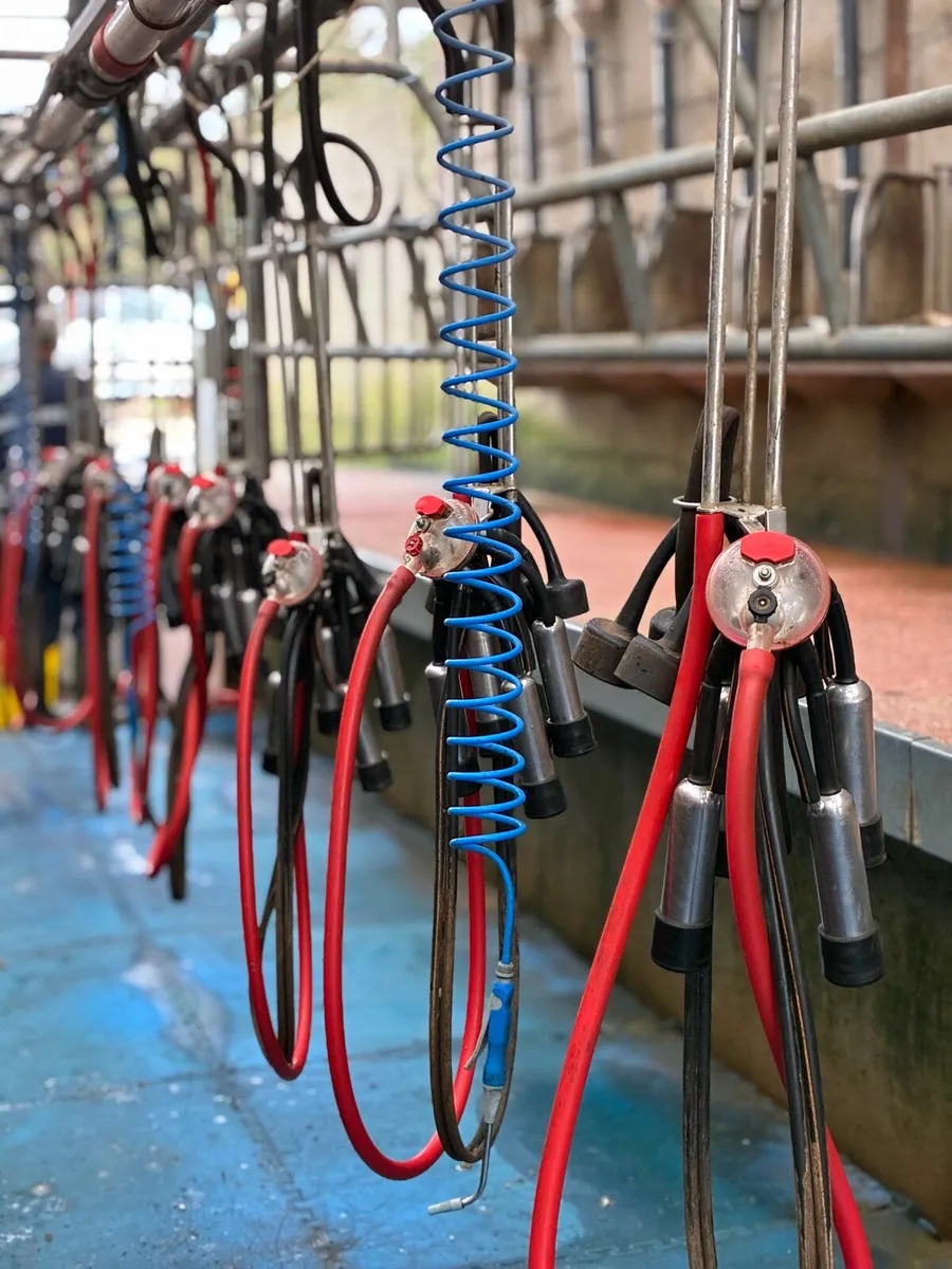 Milking parlour - Image 1