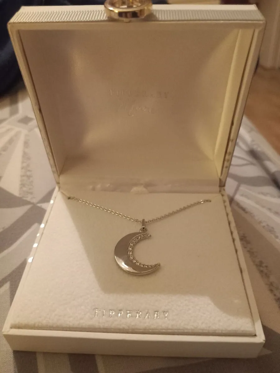 Silver Chain - Image 2