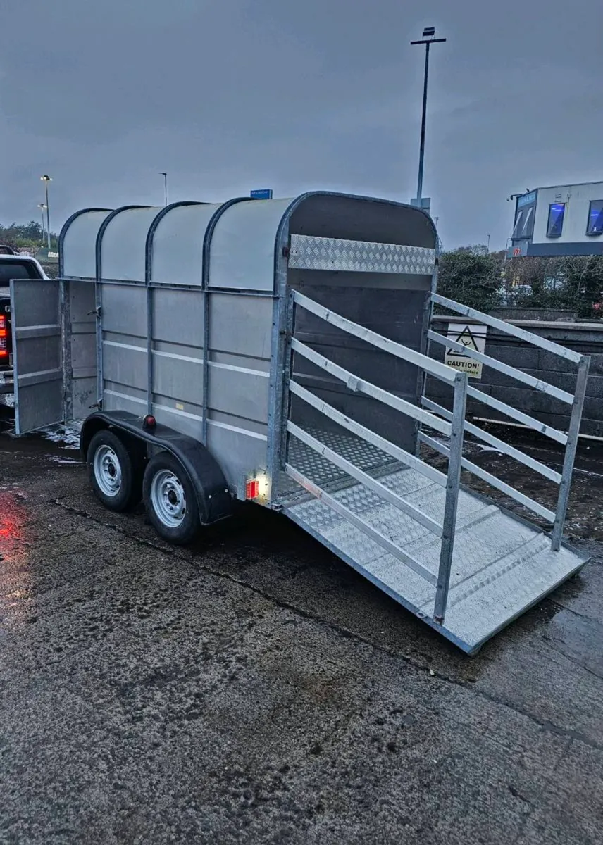 Jim murphy Cattle trailer 8x5 - Image 1