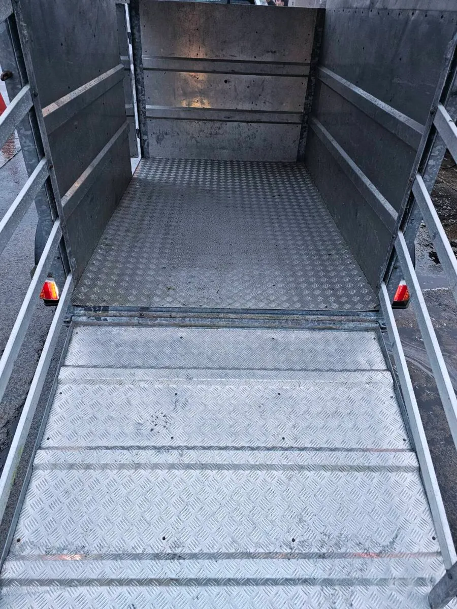 Jim murphy Cattle trailer 8x5 - Image 2