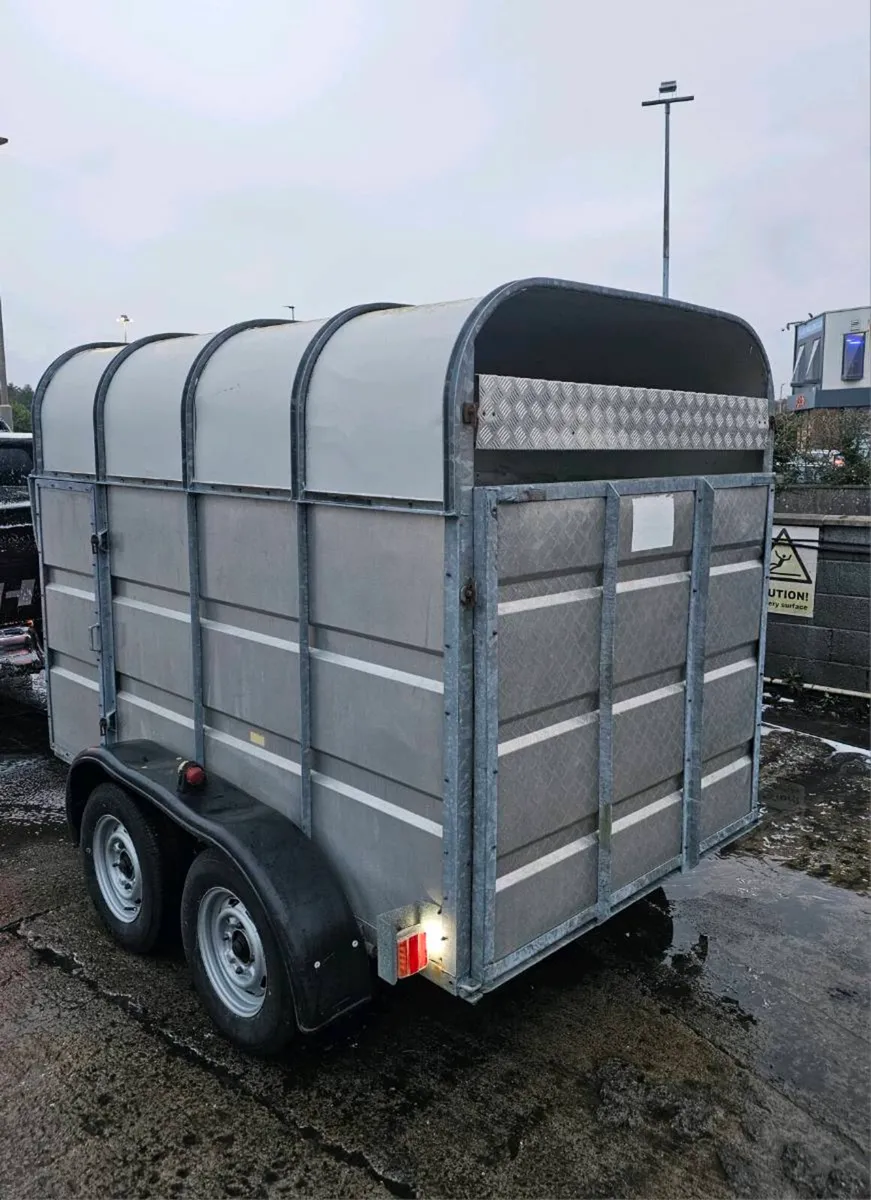 Jim murphy Cattle trailer 8x5 - Image 3