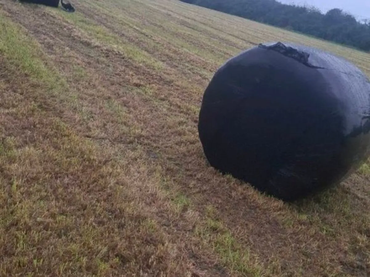 Round Bale Silage