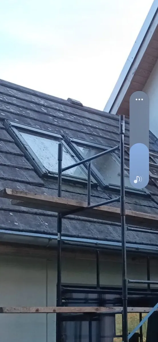 Velux windows