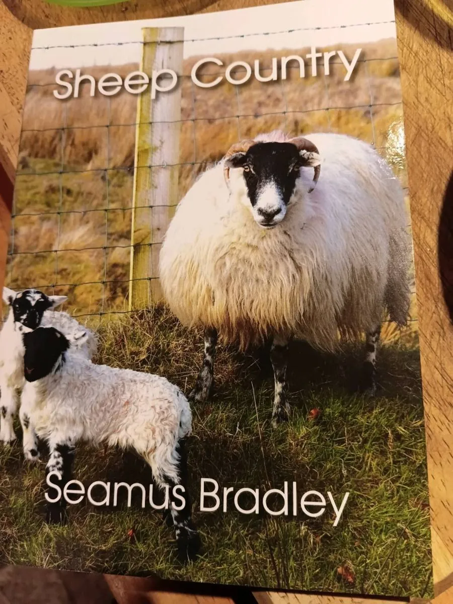 Sheep Farming Book - Image 1
