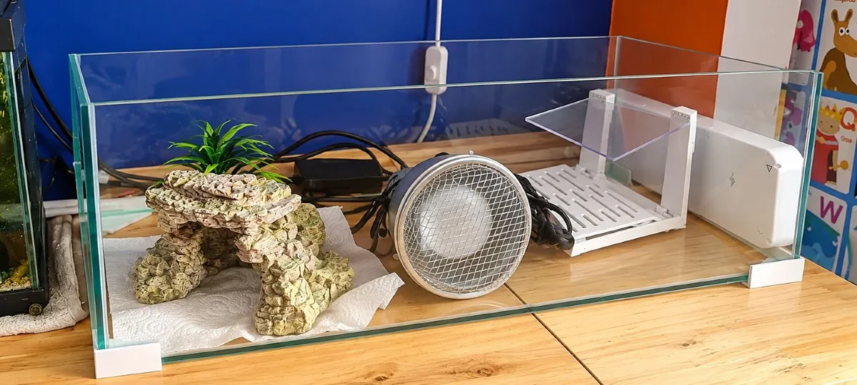 🐢 Turtle Aquarium / Glass Tank with Accessories