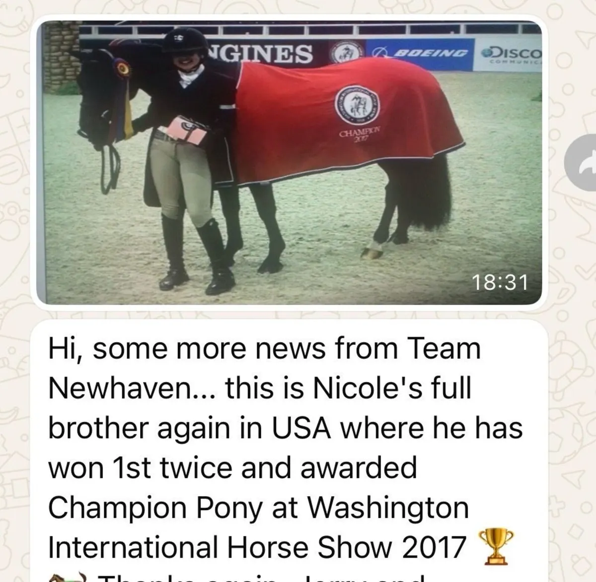 13.2 pony - Image 4