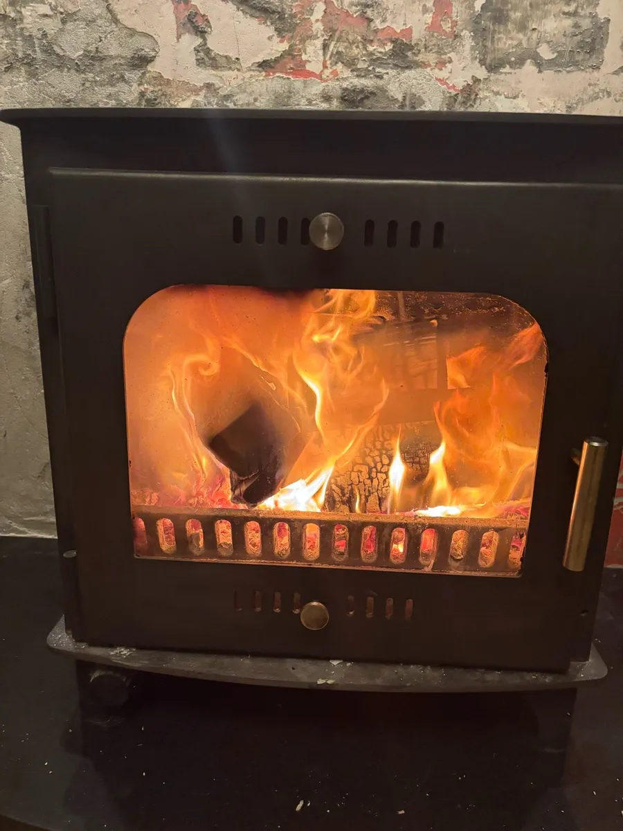 Multi fuel boiler stove - Image 3