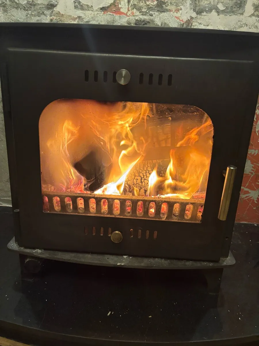 Multi fuel boiler stove - Image 1