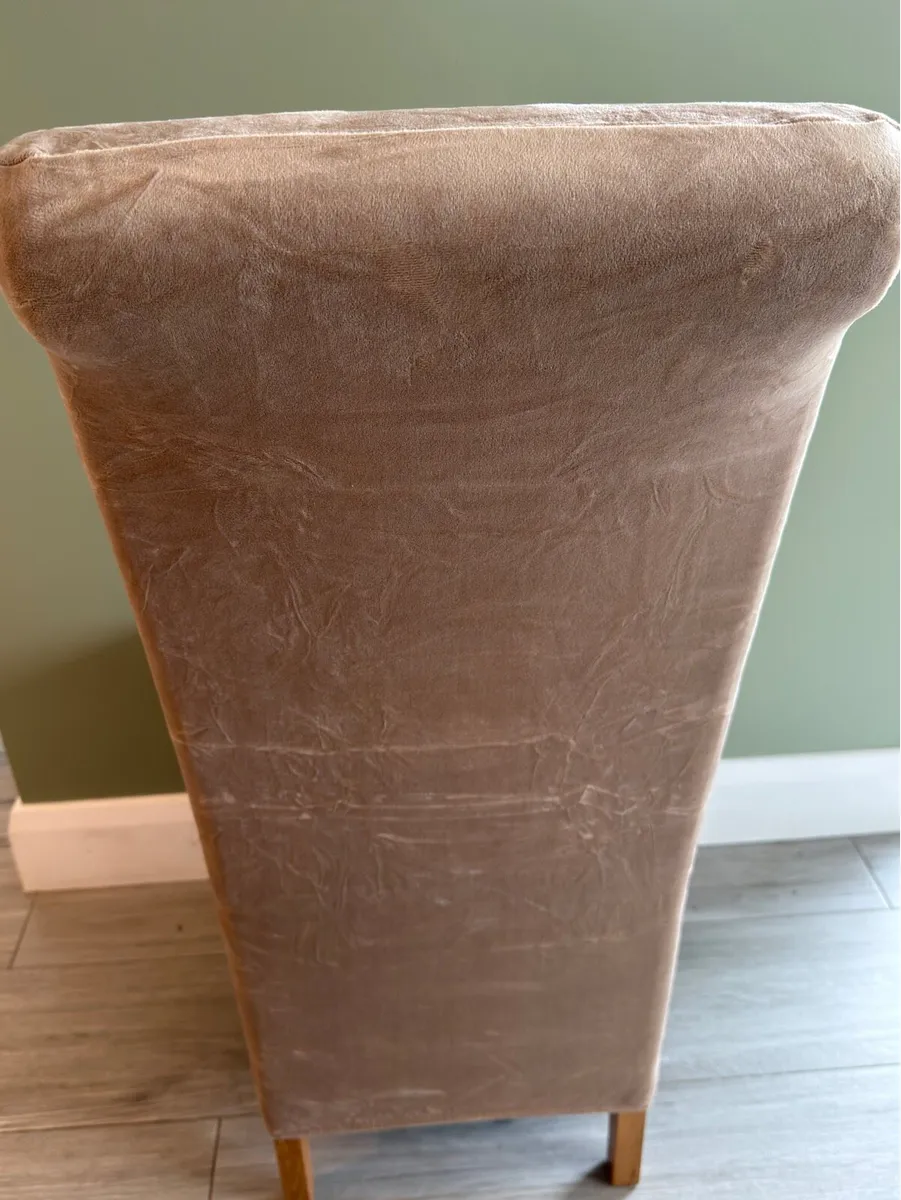 Chair Covers x8 / Neutral / XL - Image 3