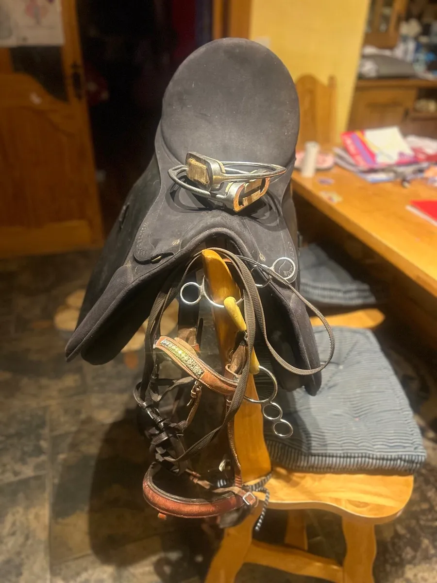 Saddle and bridle for sale - Image 1