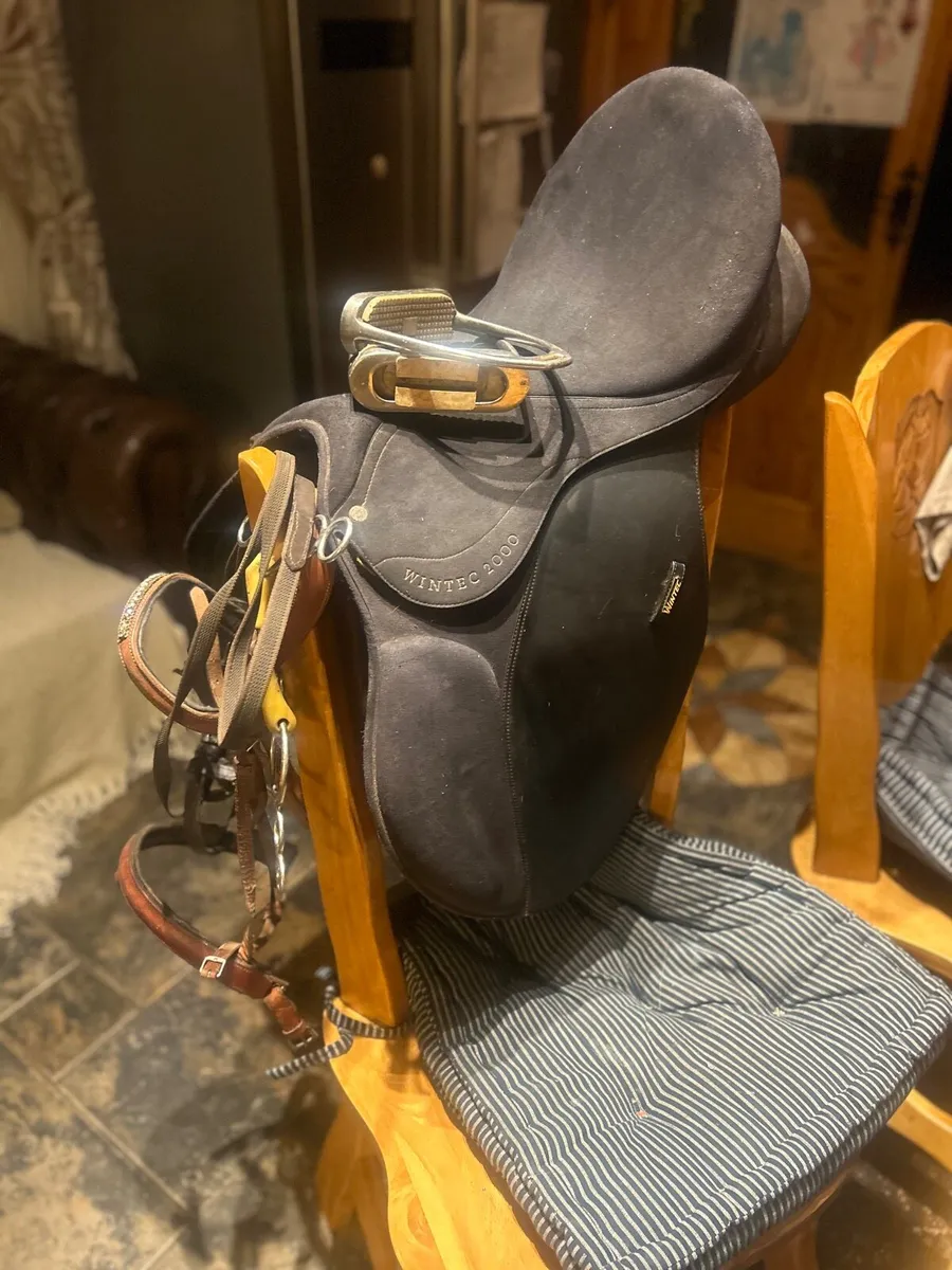 Saddle and bridle for sale - Image 2