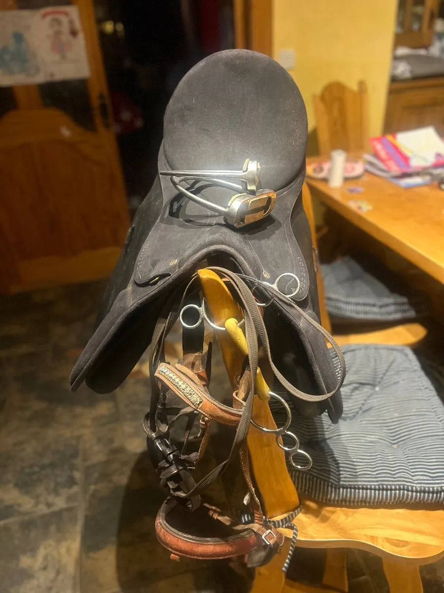 Saddle and bridle for sale - Image 3