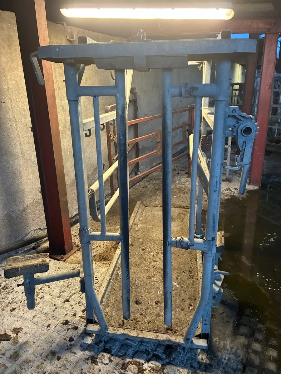 Nugent Hoof paring crate - Image 3