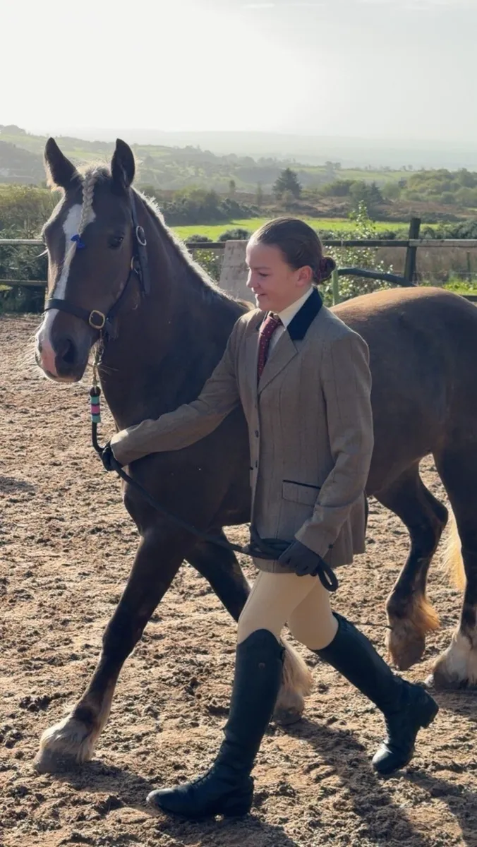 Pony club pony - Image 3