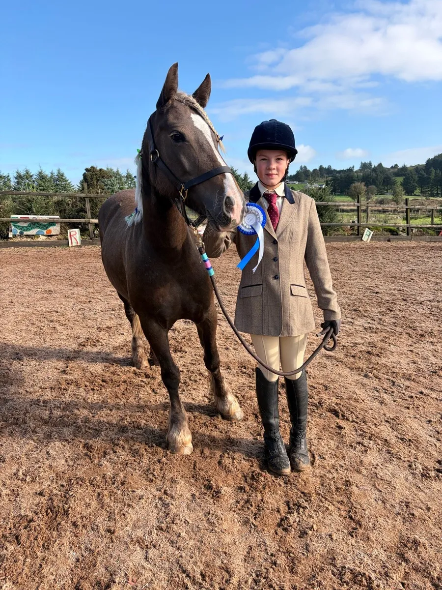Pony club pony - Image 4