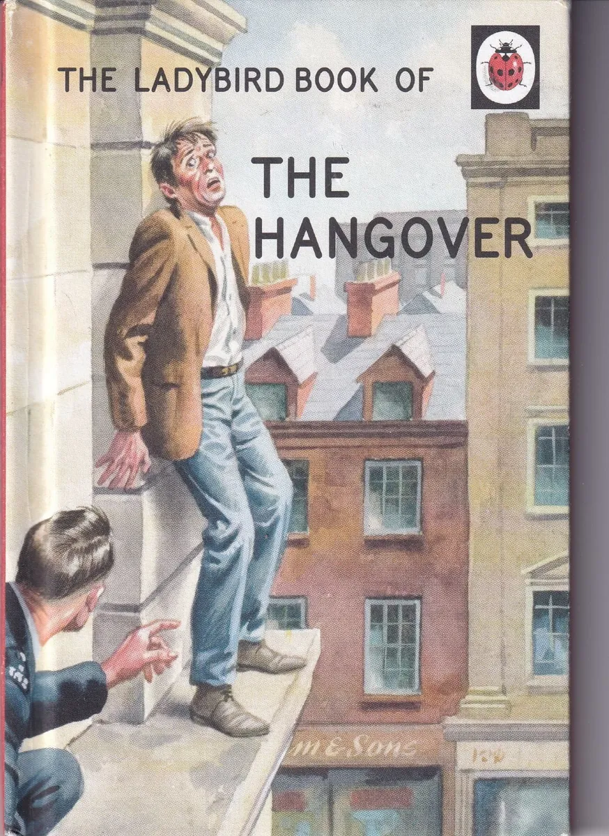 LADYBIRD THE HANGOVER HARD BACK BOOK - Image 1