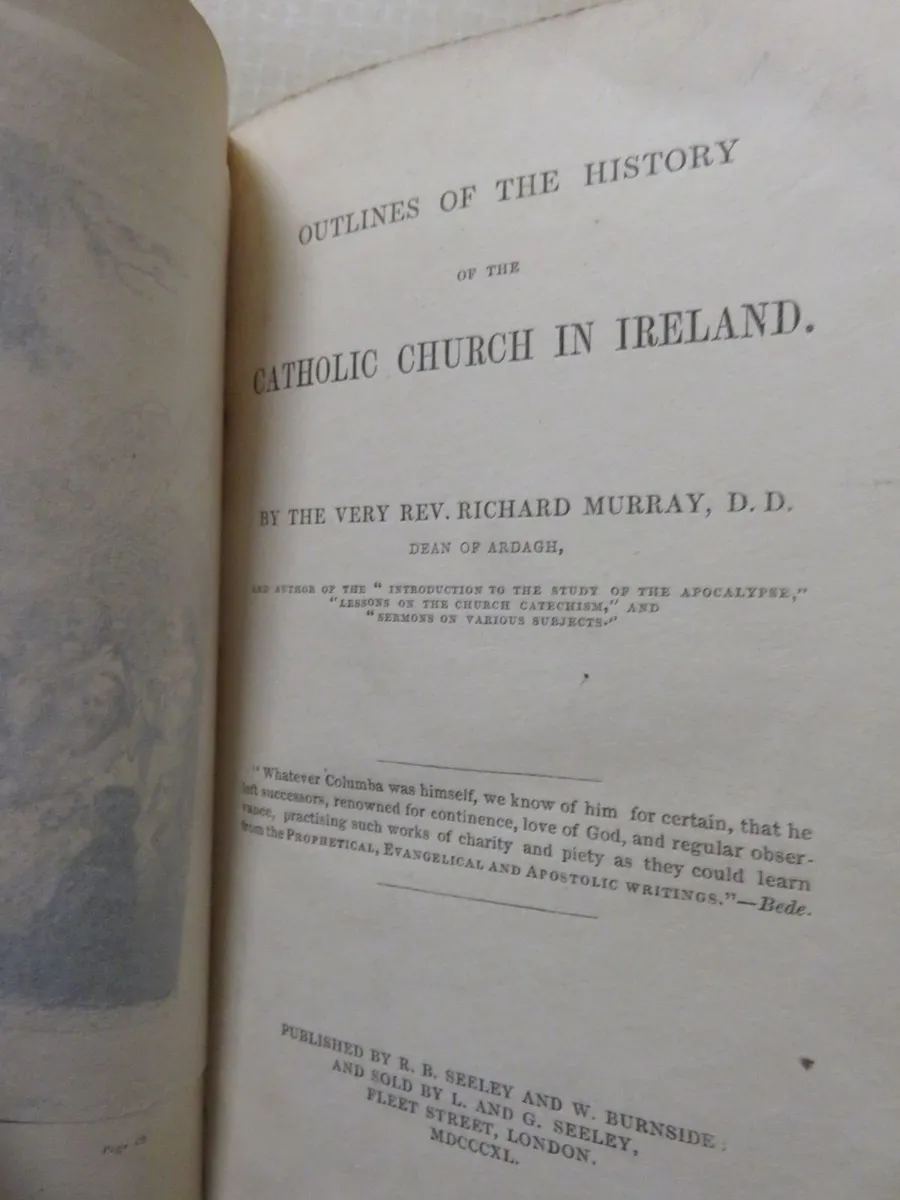 History of the Catholic church in Ireland - Image 3