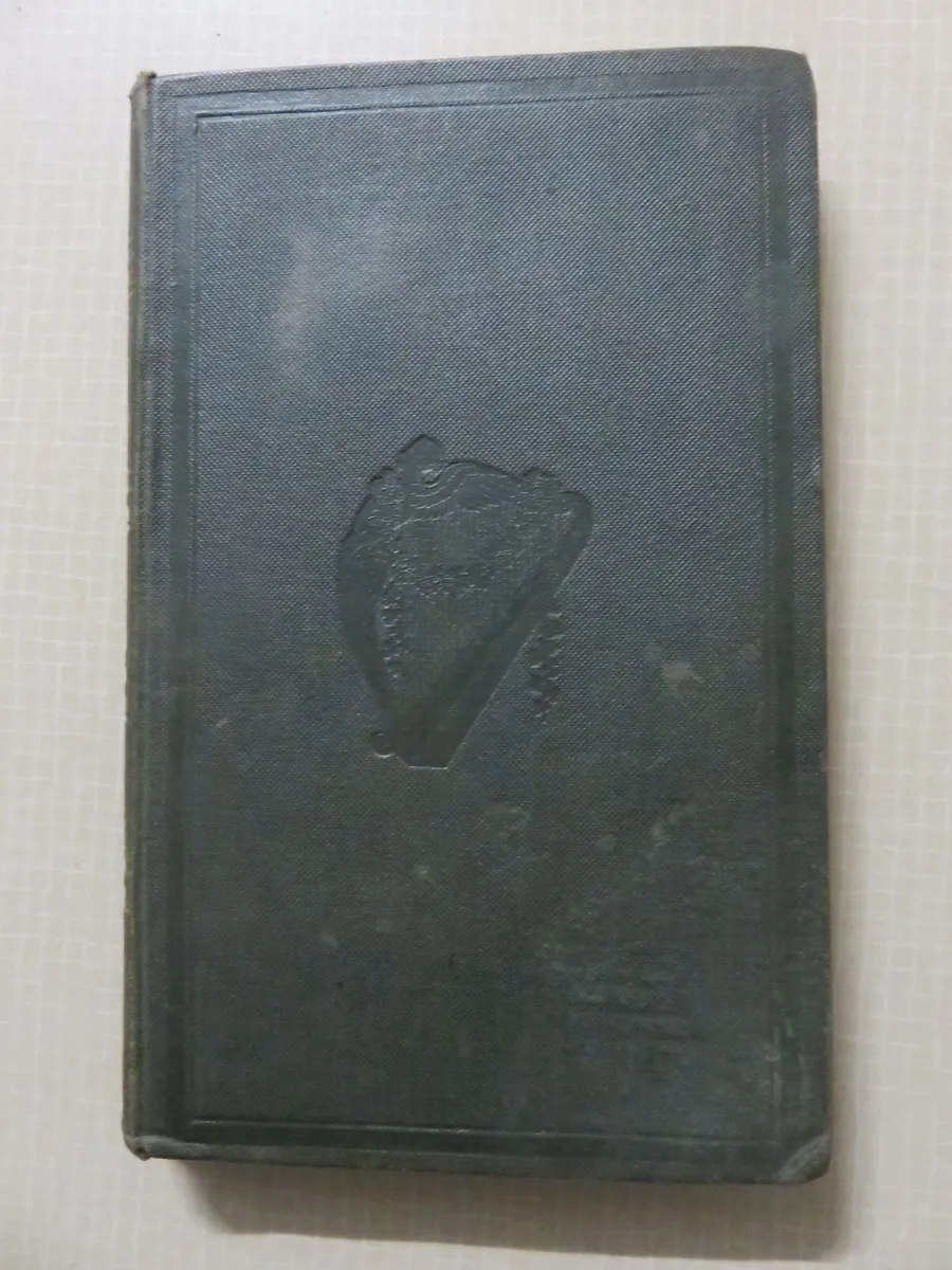 History of the Catholic church in Ireland - Image 2