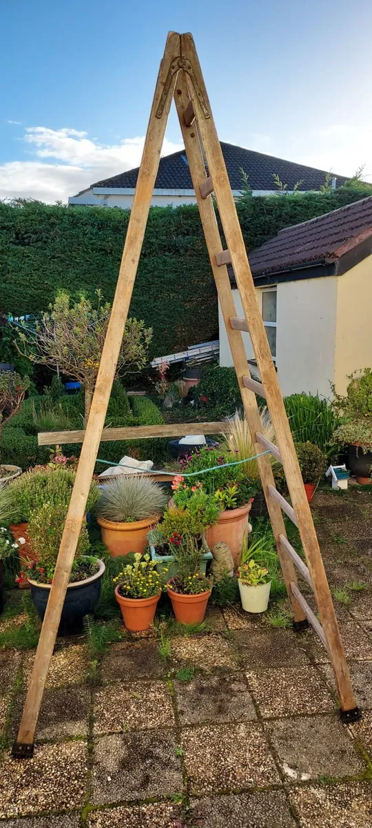 Wooden Ladder - Image 2