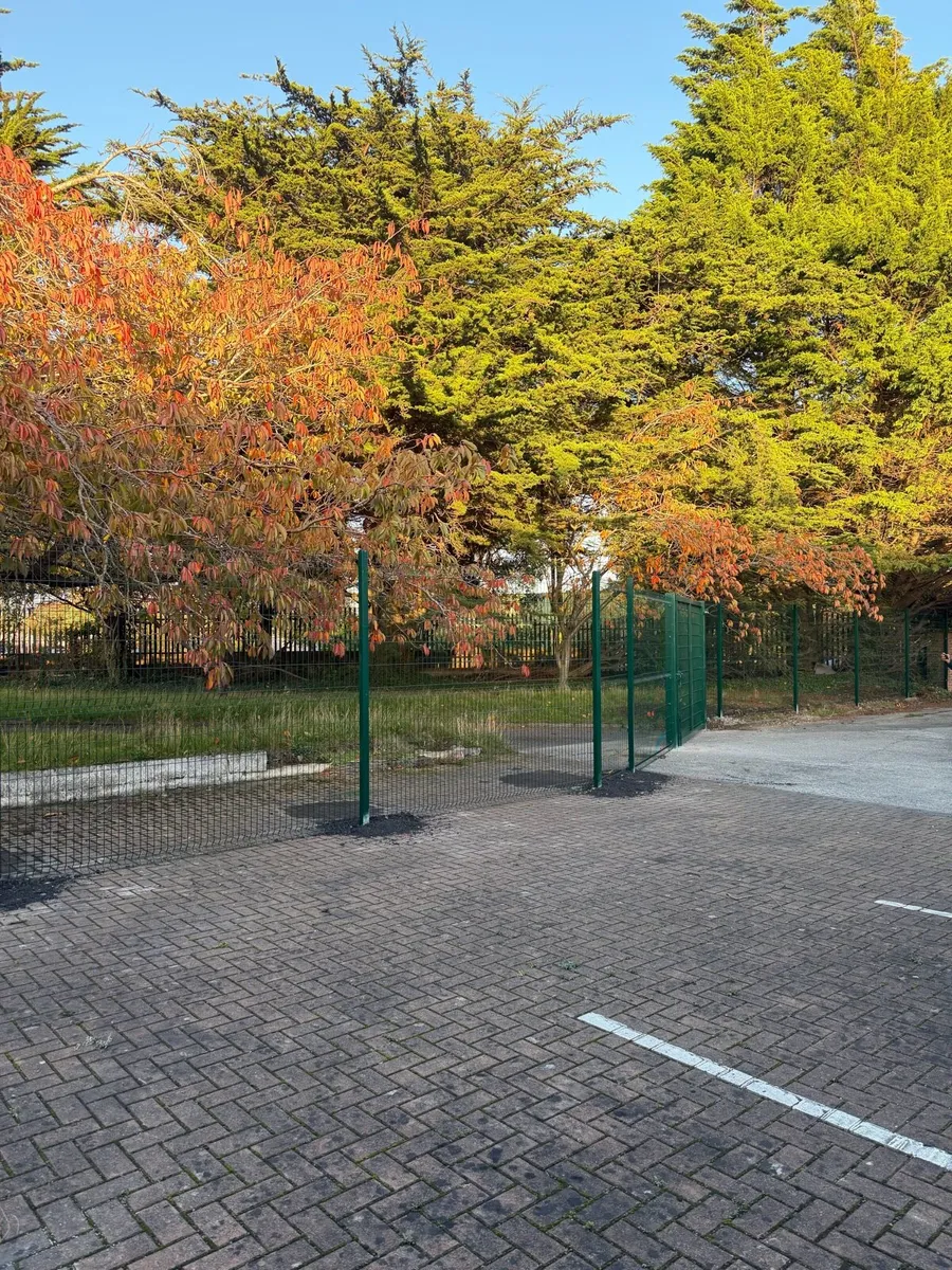 Vmesh fence Supply and install - Image 2