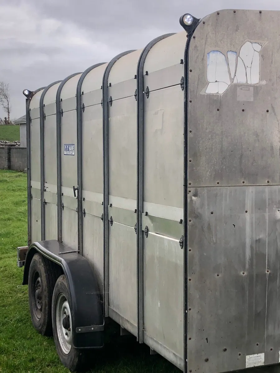 Ifor Williams trailer - Image 3