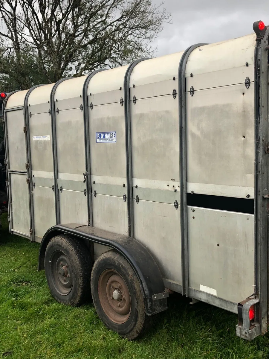 Ifor Williams trailer - Image 4