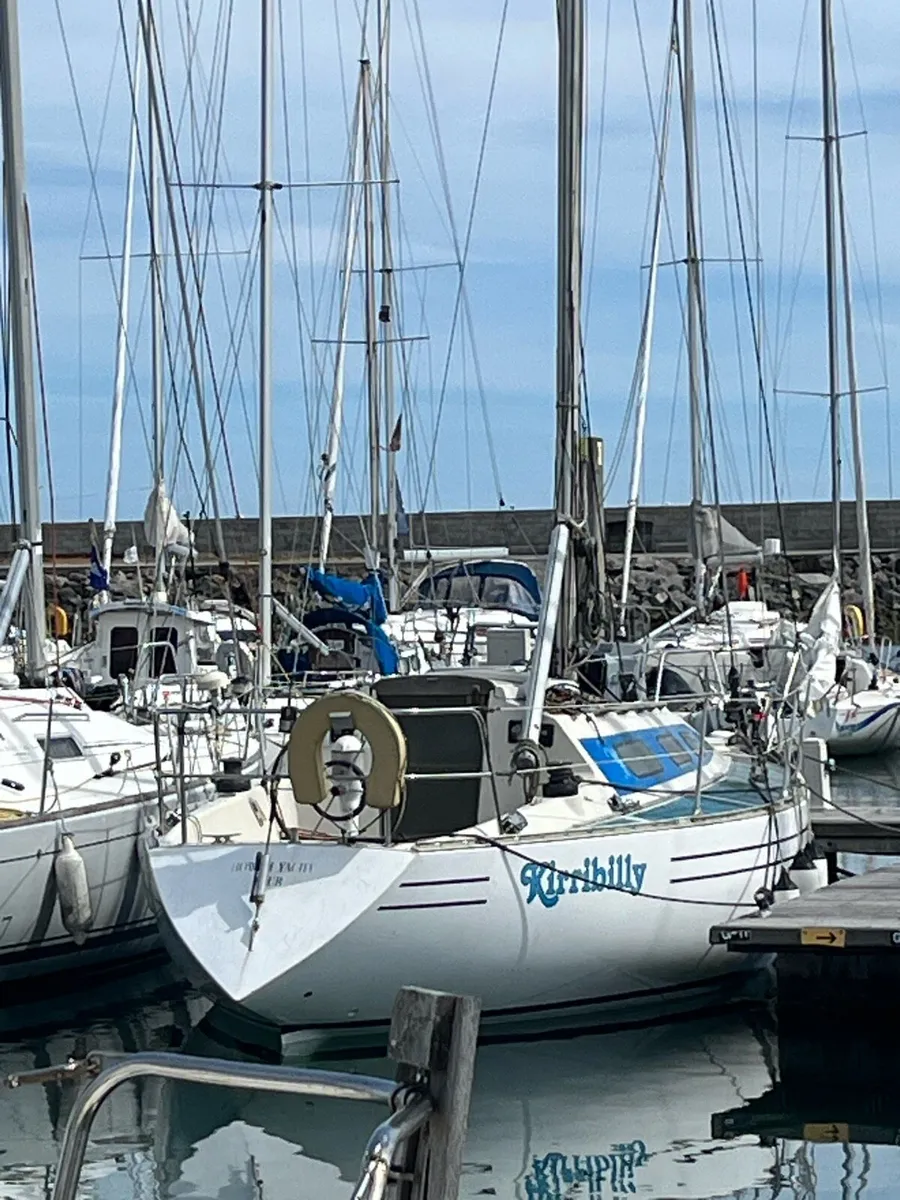 30ft Club Shamrock Yacht - Image 2