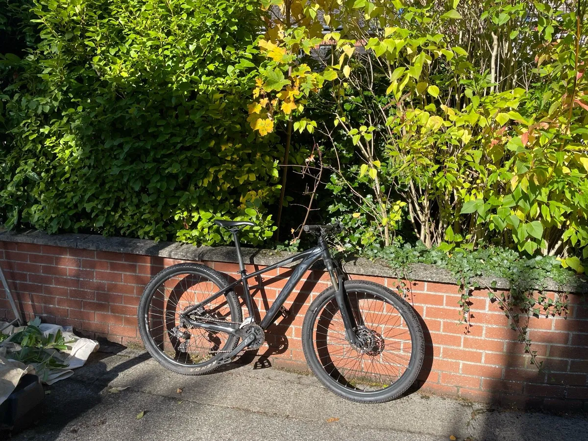 Mountain Bike - Image 1