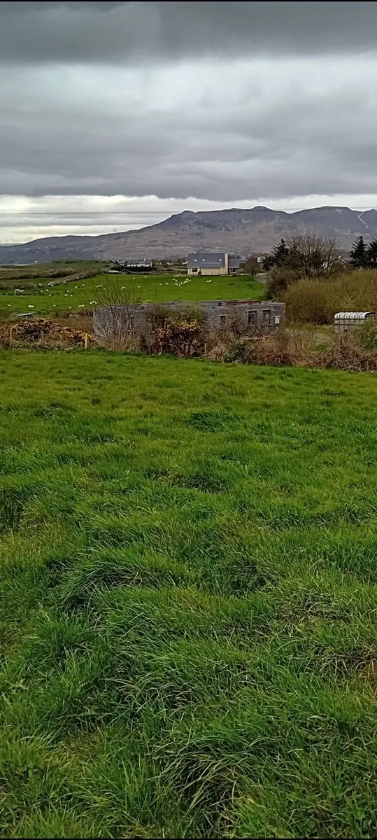 Land for Rent Rosmoney Mayo - Image 3