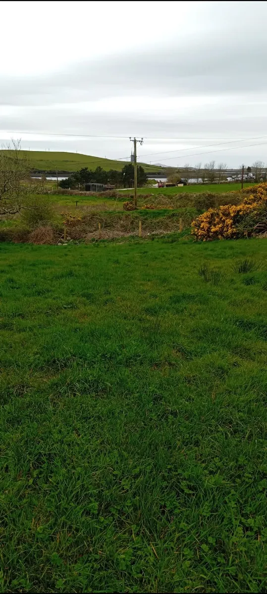 Land for Rent Rosmoney Mayo - Image 4