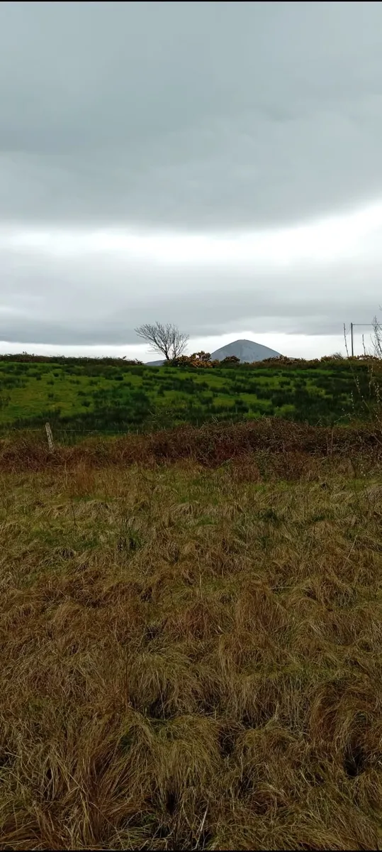 Land for Rent Rosmoney Mayo - Image 1