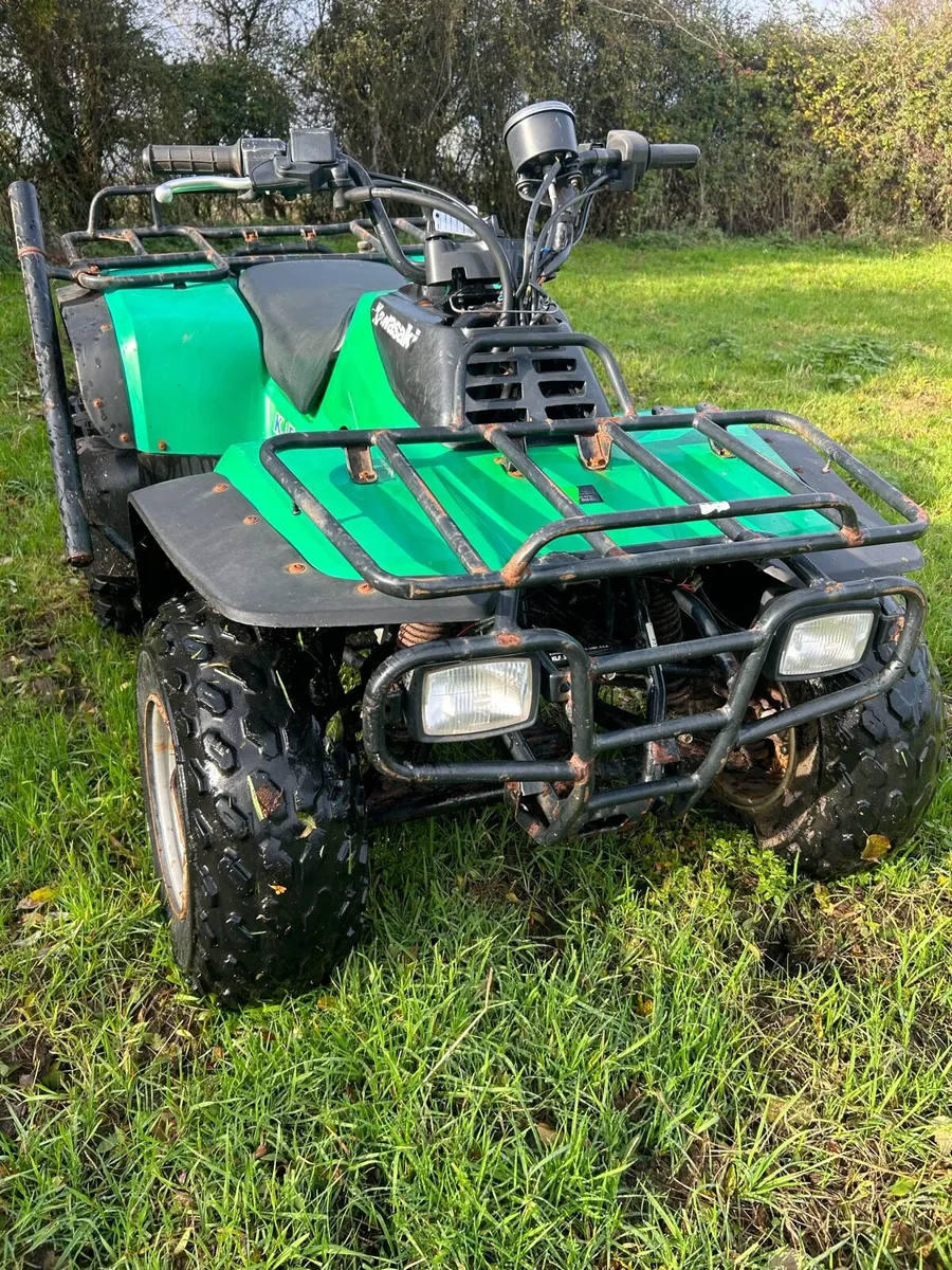 Kawasaki Klf 300 2wd - Image 2