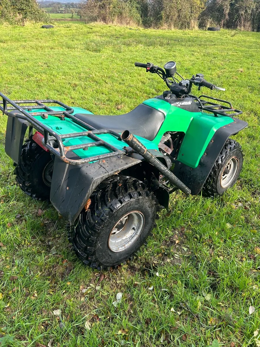 Kawasaki Klf 300 2wd - Image 3
