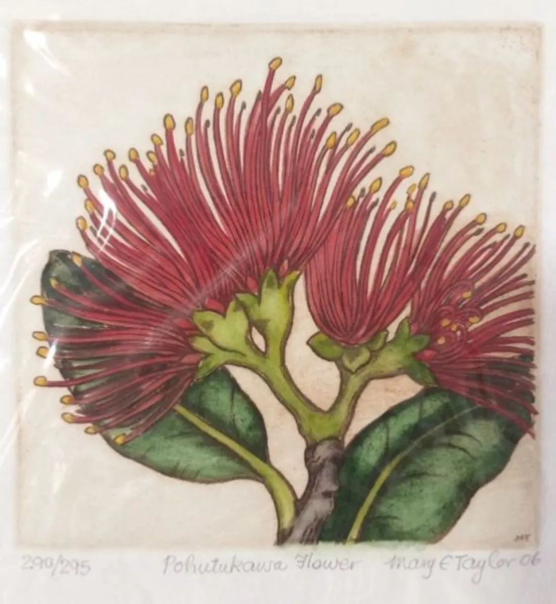 Mary E Taylor 'Pohutukawa Flower' Limited Edition - Image 1