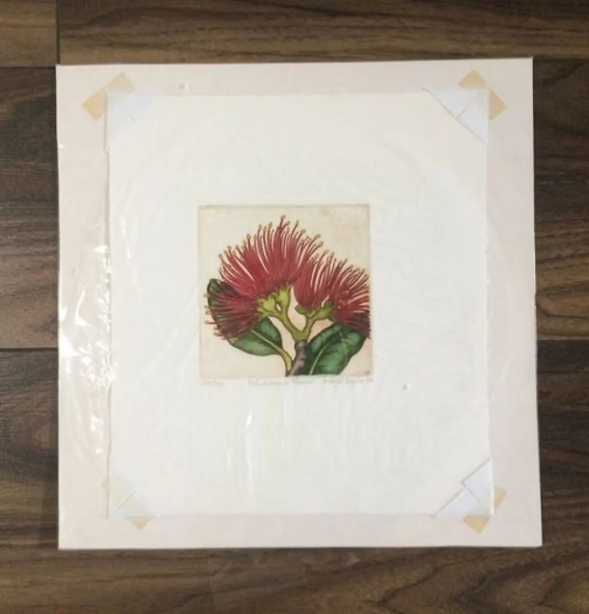 Mary E Taylor 'Pohutukawa Flower' Limited Edition - Image 2