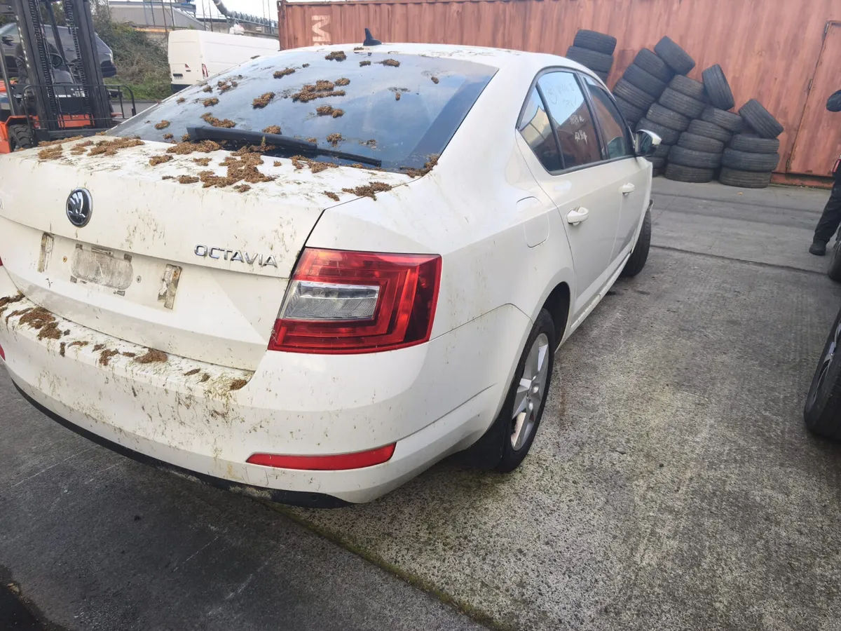 2014 SKODA OCTAVIA 2.0D FOR BREAKING - Image 2