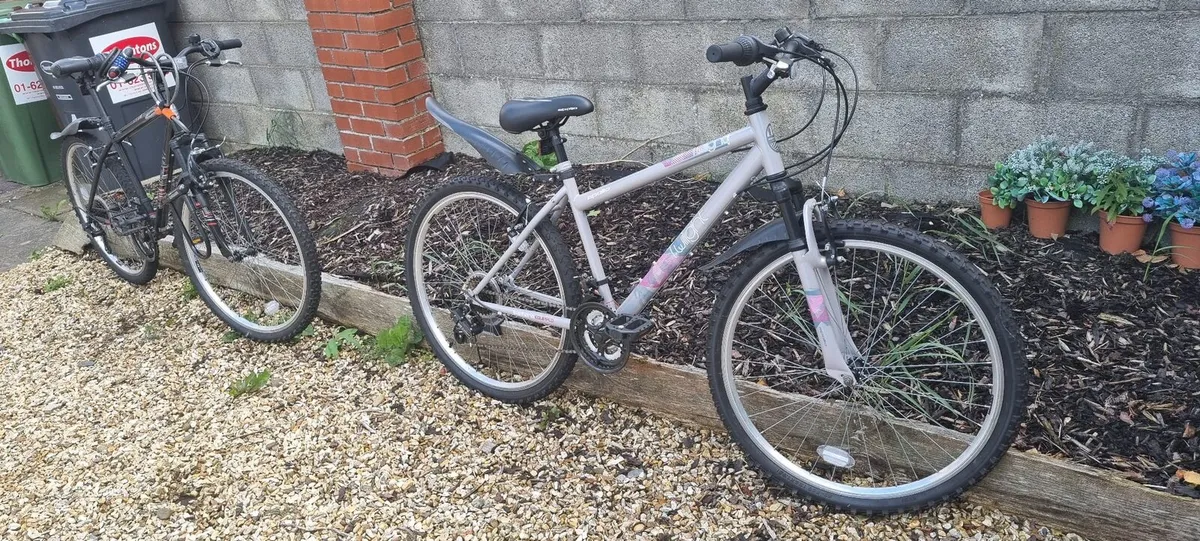 Bike - Image 1