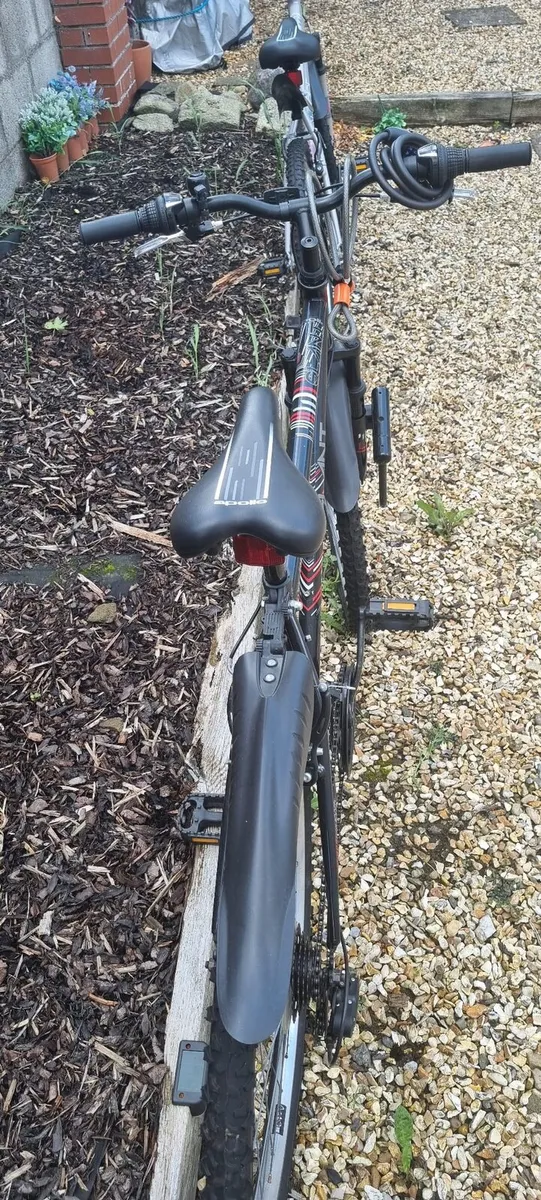 Bike - Image 2