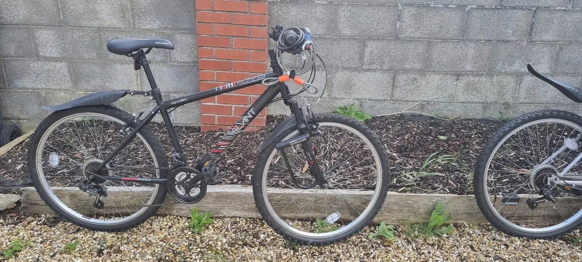 Bike - Image 4