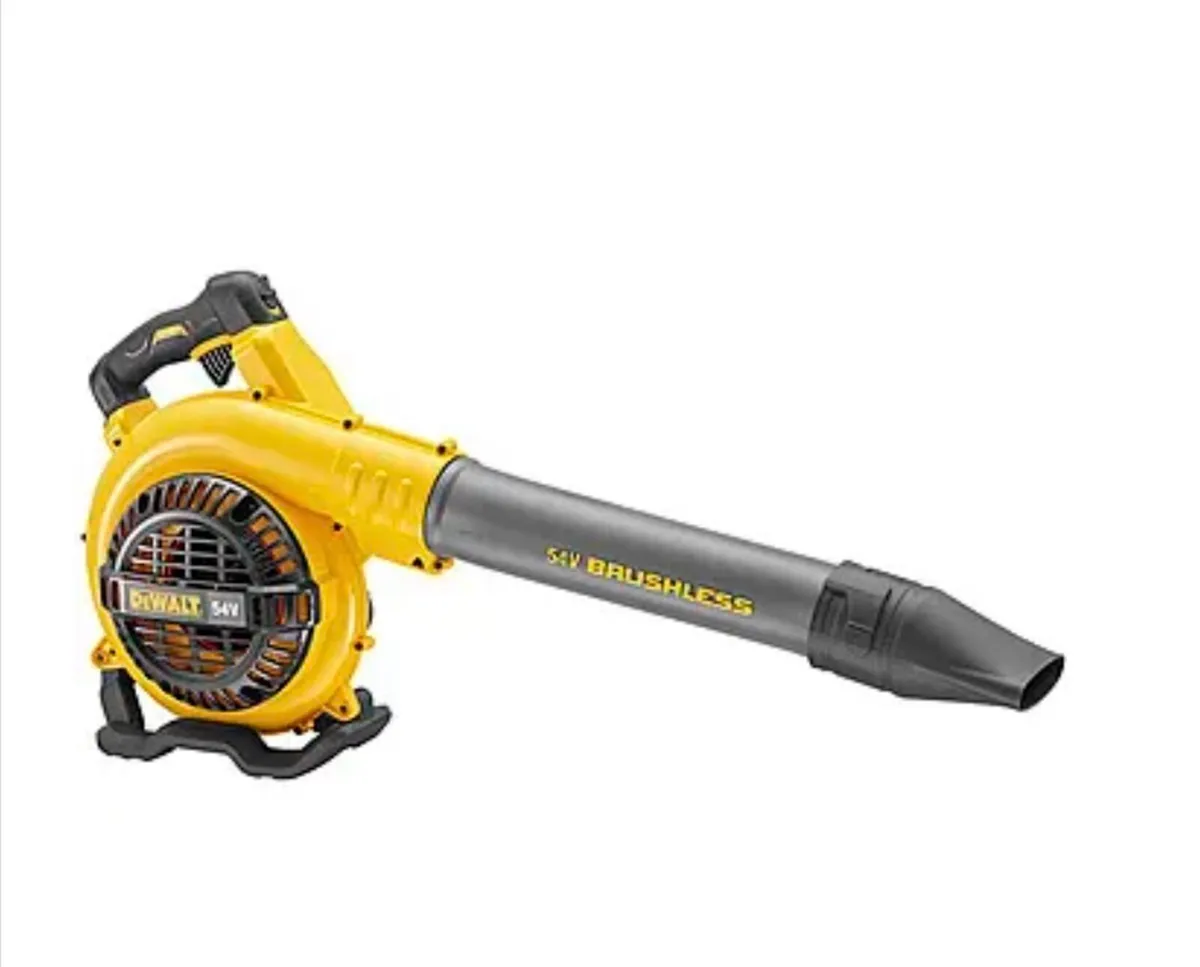 Blower - Image 1
