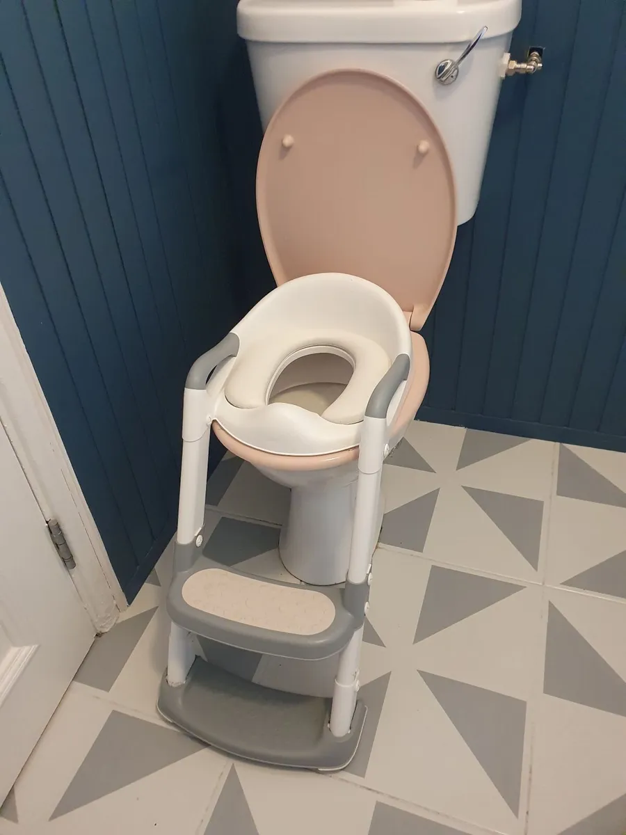 Toilet training seat with steps