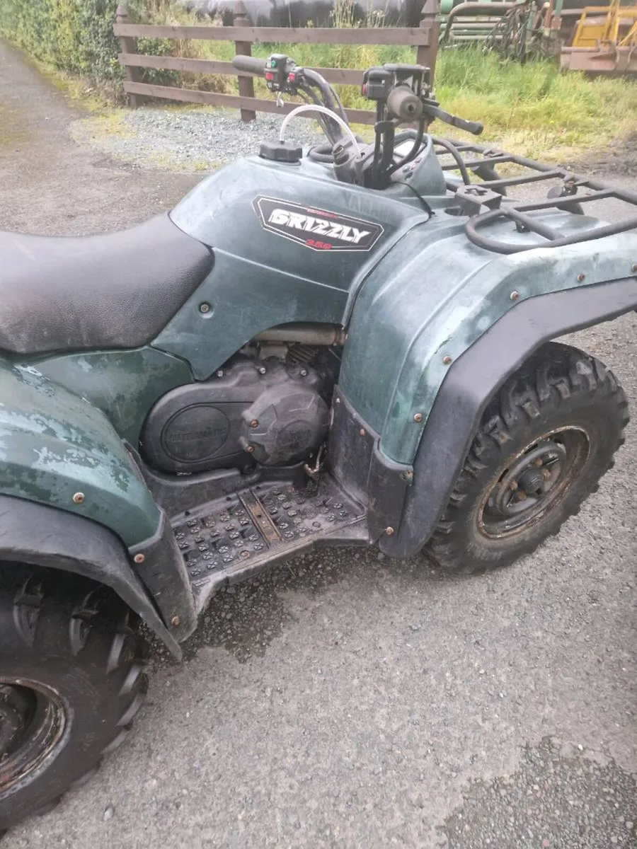 Quads - Image 3