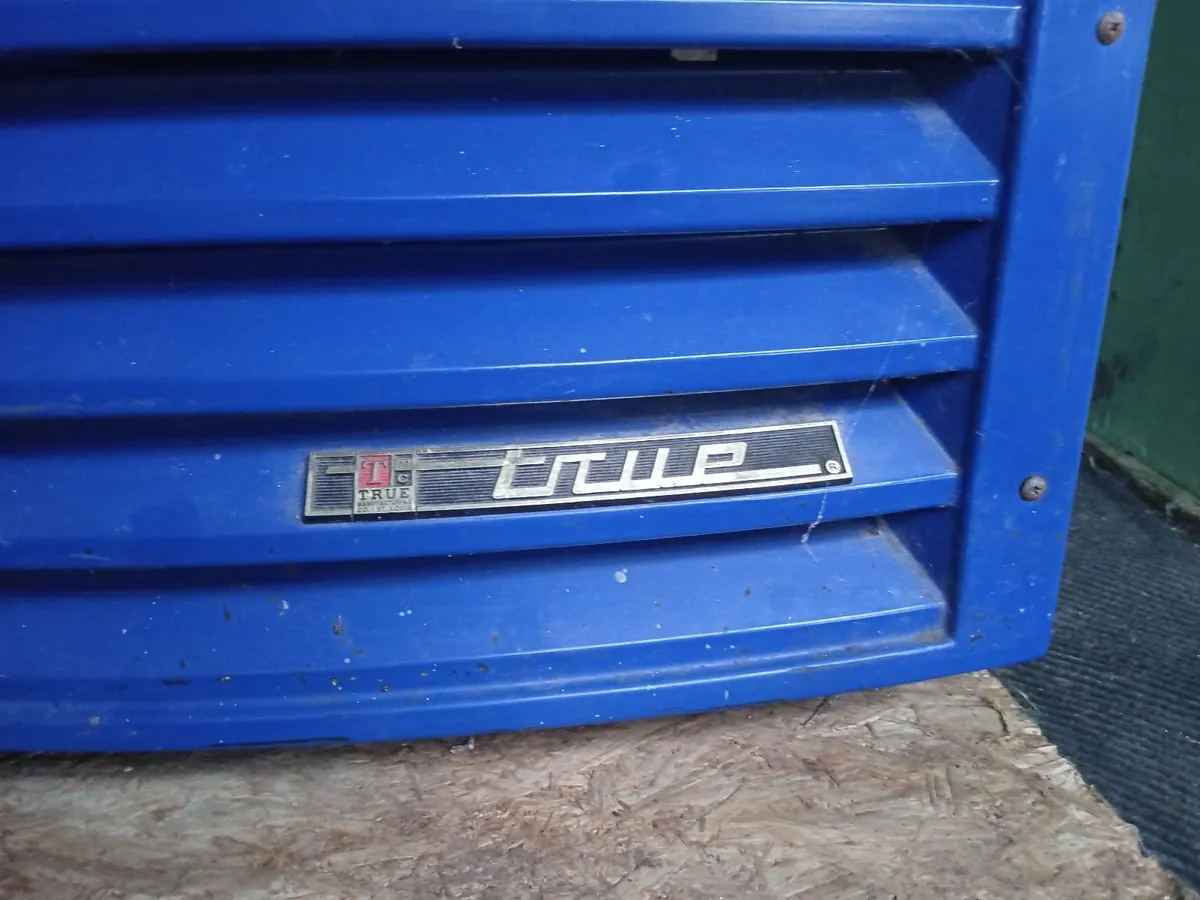 TRUE fridge - Image 2