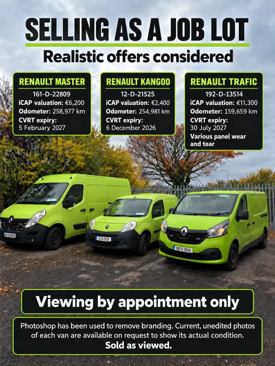 Renault Kangoo, Trafic and Master Lot - Image 1