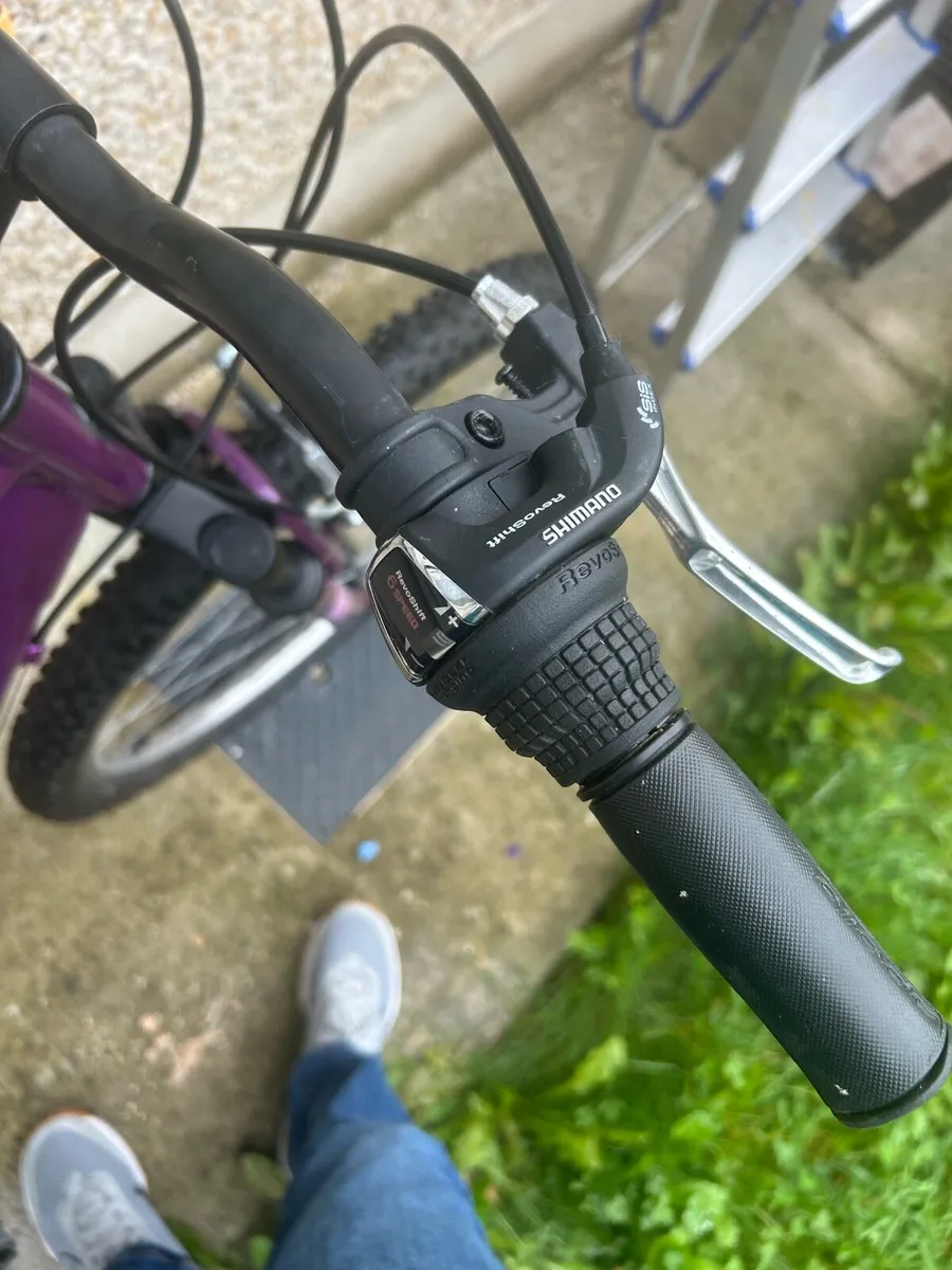 Bicycle - Image 3