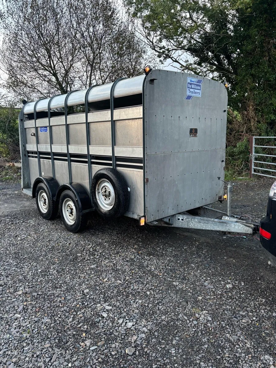 Ifor Williams 12x6 cattle box - Image 1