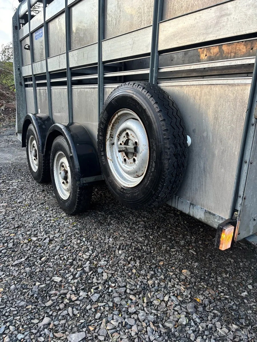 Ifor Williams 12x6 cattle box - Image 2