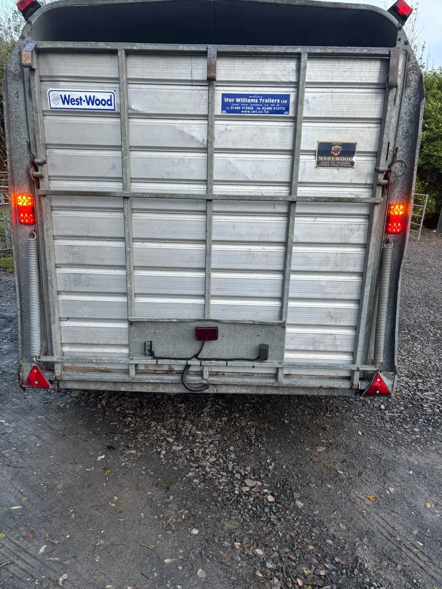 Ifor Williams 12x6 cattle box - Image 4