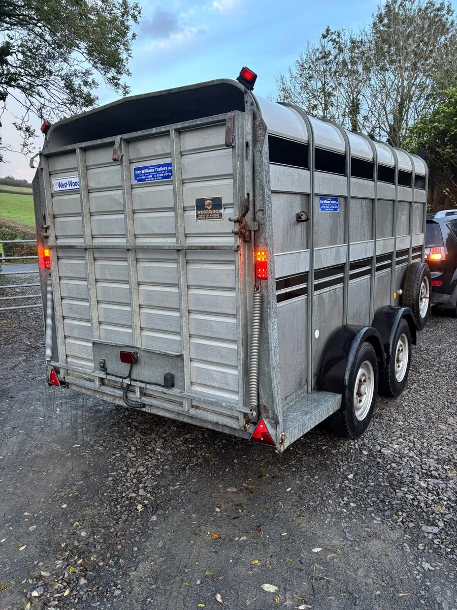 Ifor Williams 12x6 cattle box - Image 3